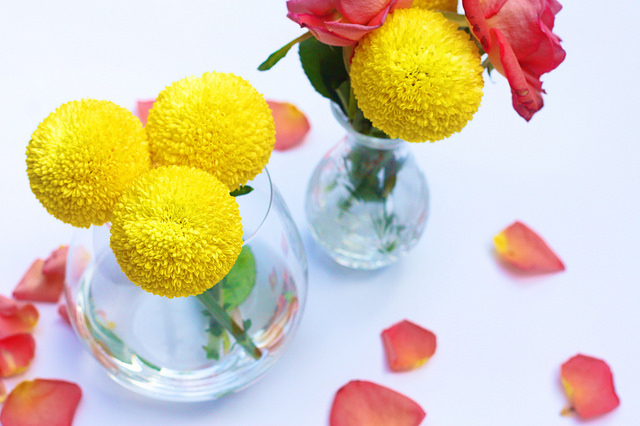 Yellow and pink flowers