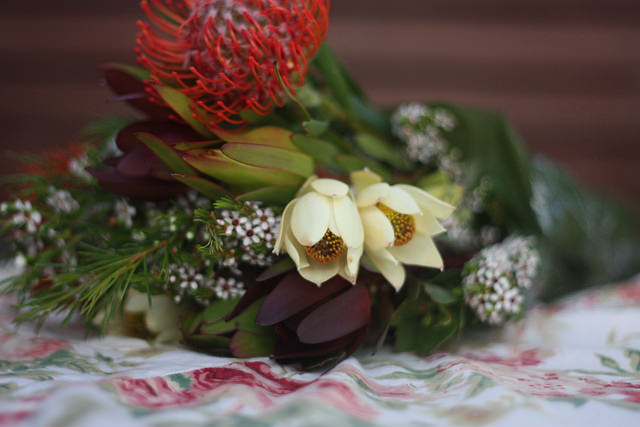 Australian native flowers