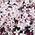 Taking Stock: May